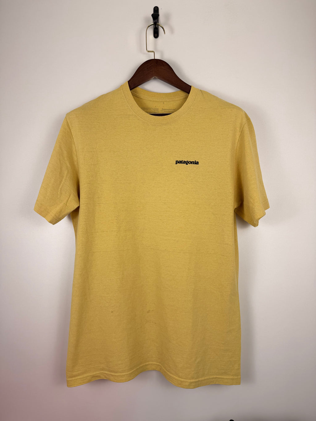 Patagonia Tshirt