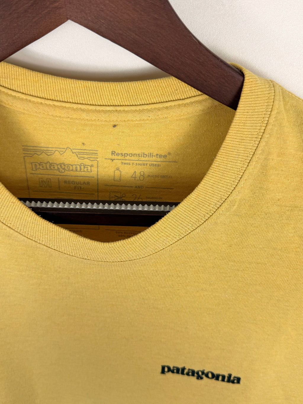 Patagonia Tshirt