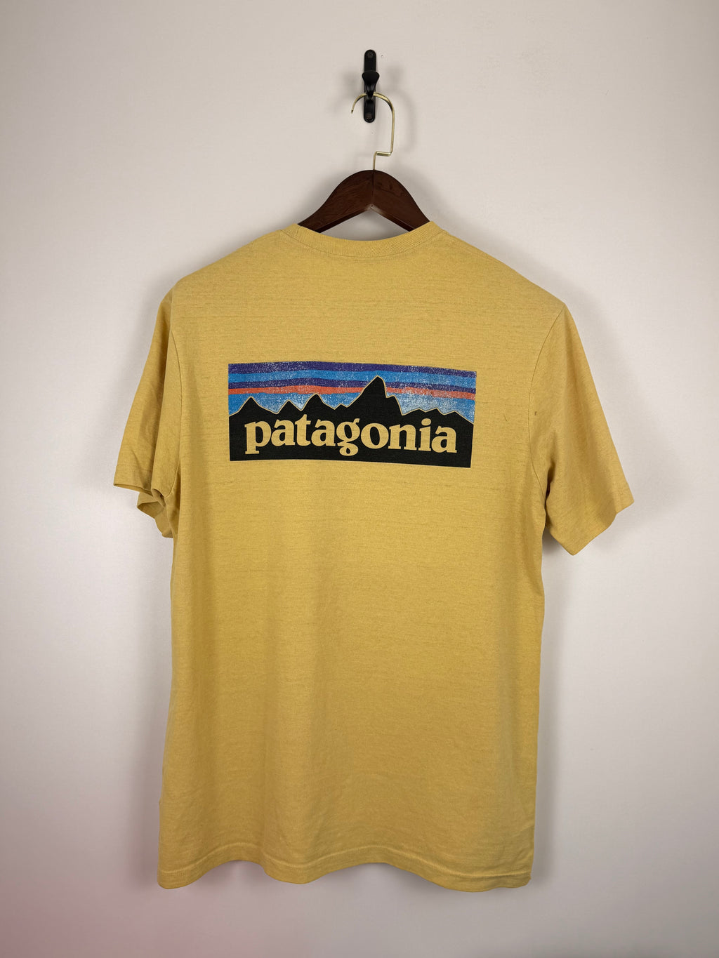 Patagonia Tshirt