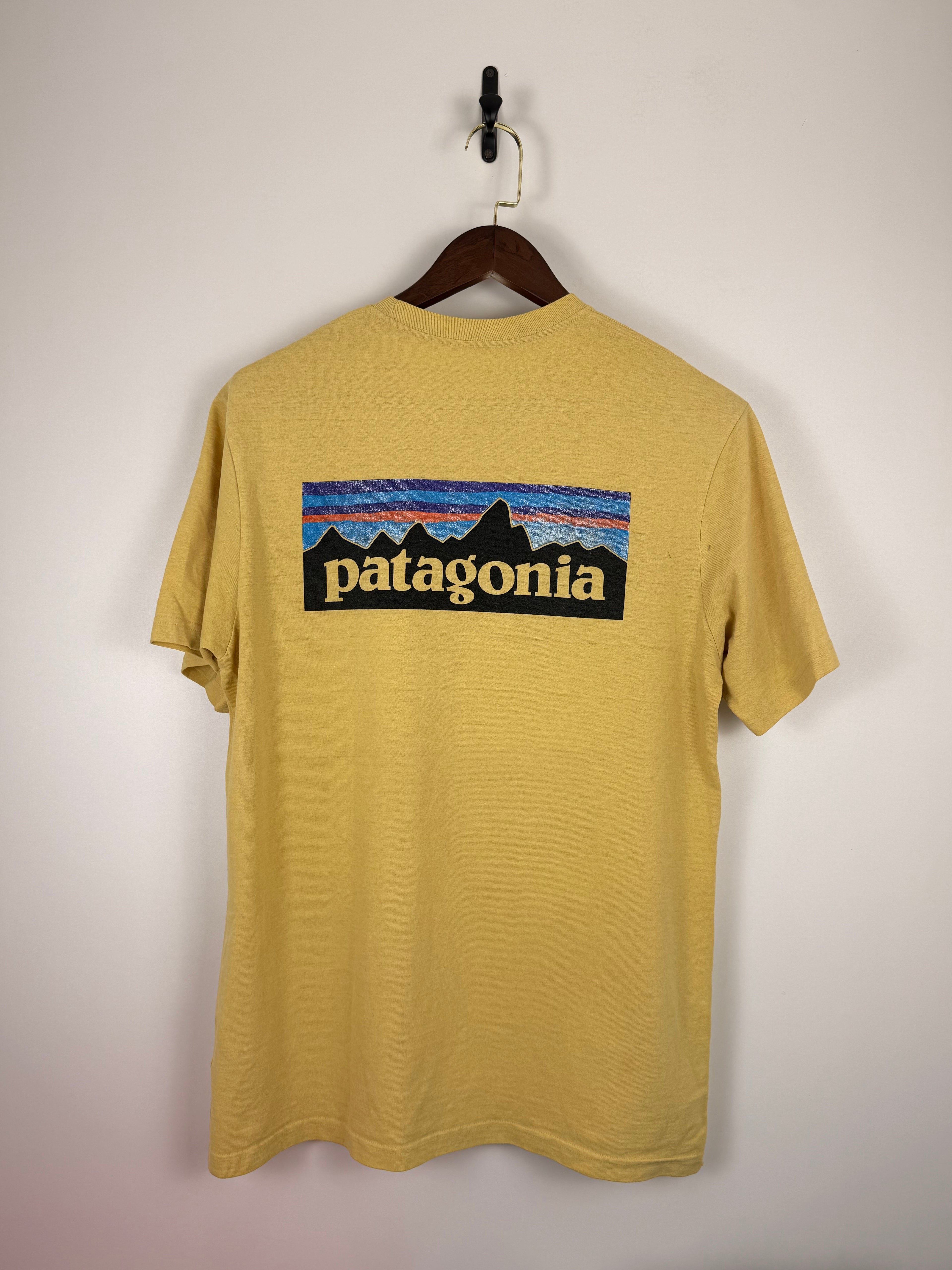 Patagonia Tshirt