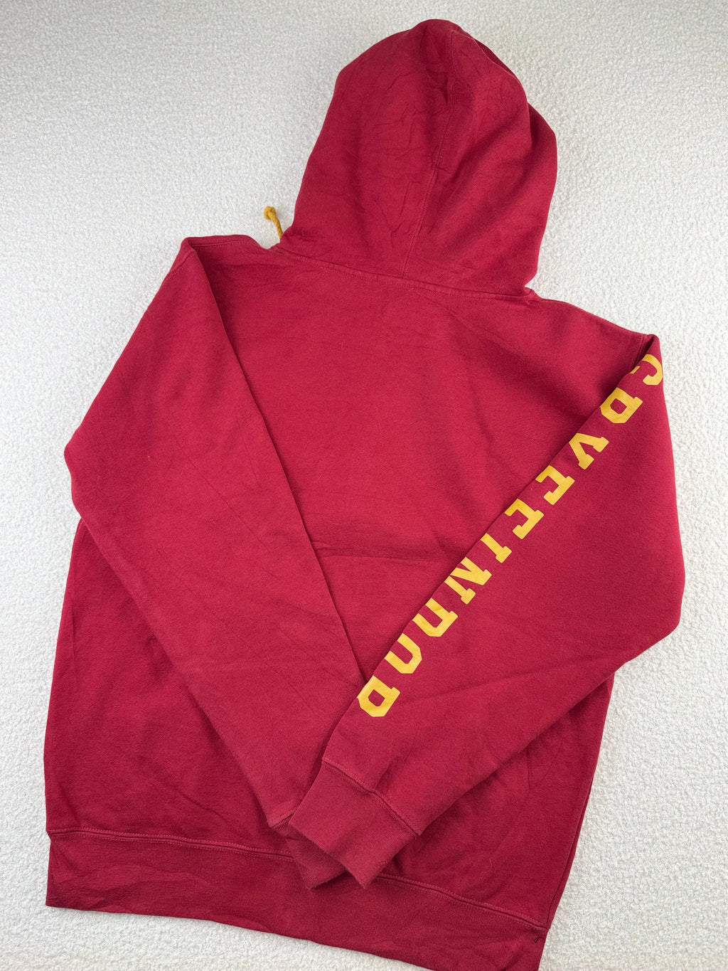 Gryffindor Graphic Zip-Up Hoodie | C:44 L:26
